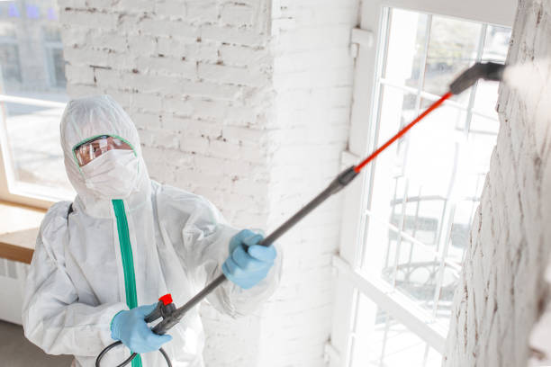 Best Post-Remediation Verification Testing  in South Wilton, CT