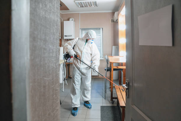 Best Biohazard Mold Removal  in South Wilton, CT