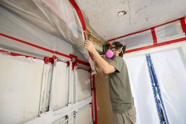 Mold Remediation for Vacation Homes in South Wilton, CT