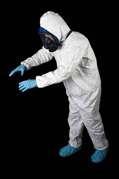 Professional Mold Removal in South Wilton, CT