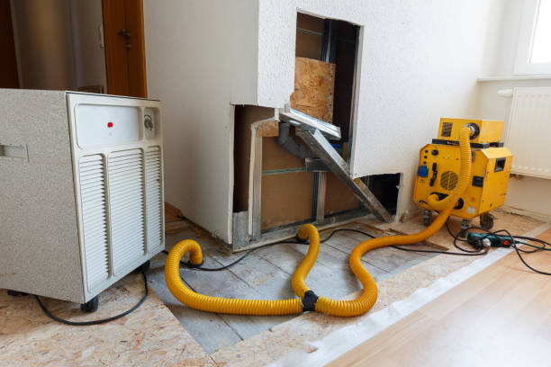 Best Asbestos and Lead Testing During Mold Inspection  in South Wilton, CT