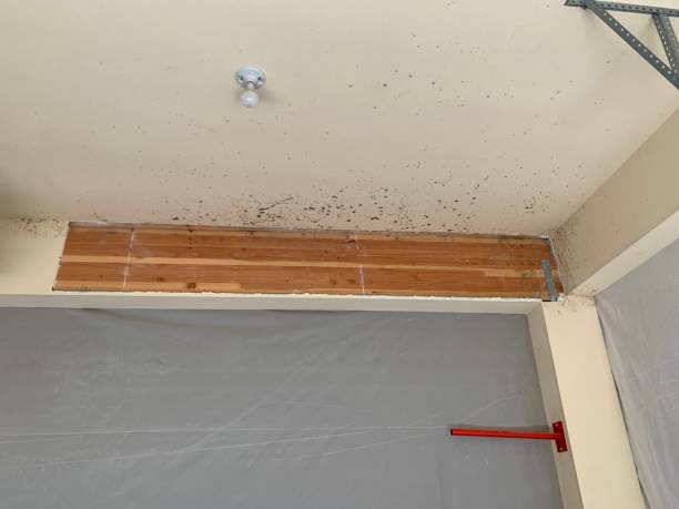 Best HVAC Mold Inspection and Cleaning  in South Wilton, CT