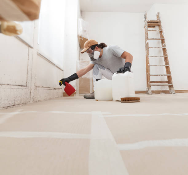 Best Comprehensive Air Testing for Mold Contaminants  in South Wilton, CT