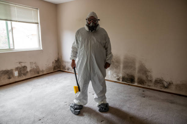 Best Biohazard Mold Removal  in South Wilton, CT