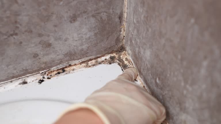 Best Indoor Air Quality Assessment  in South Wilton, CT
